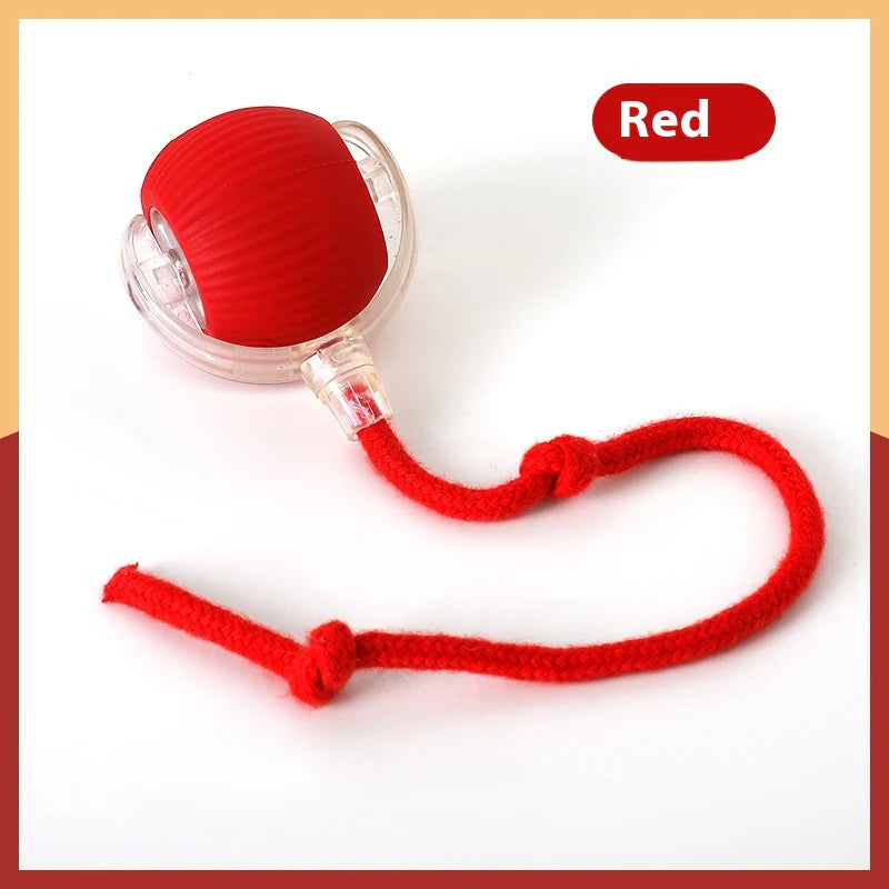 Super Drive Interactive Cat Toy Ball