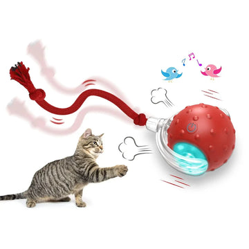 Super Drive Interactive Cat Toy Ball